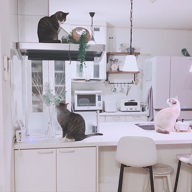 milkcocoaさんの実例写真