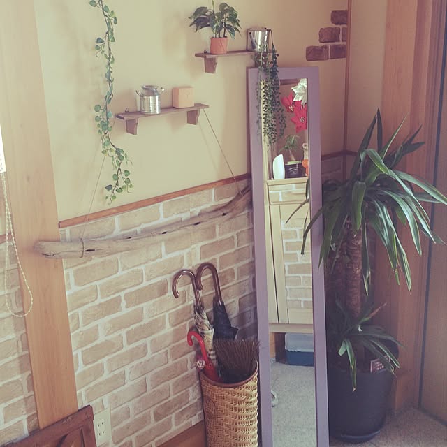 実例写真