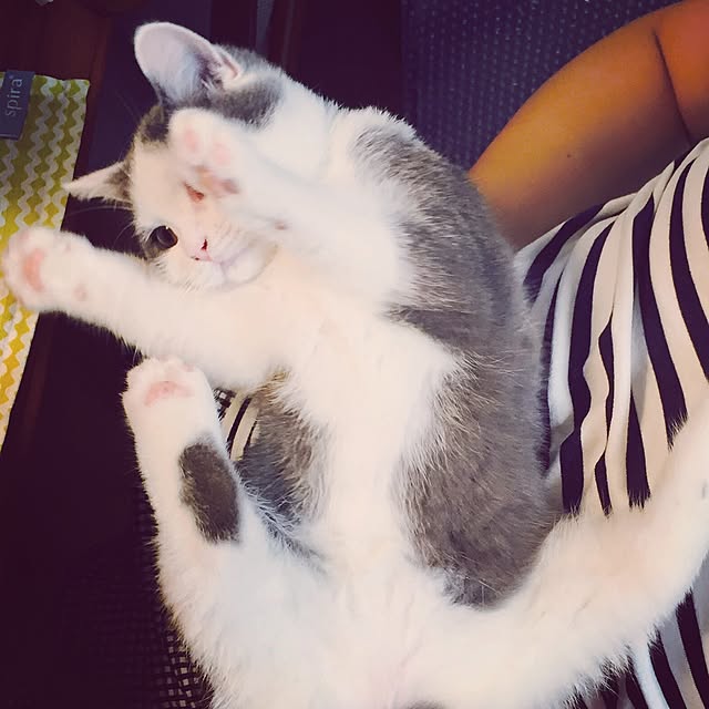 yunさんの実例写真