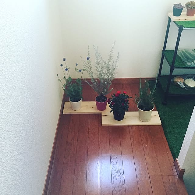 玄関/入り口/一人暮らし/DIY/ハンドメイド/観葉植物のインテリア実例 - 2016-12-03 21:55:24