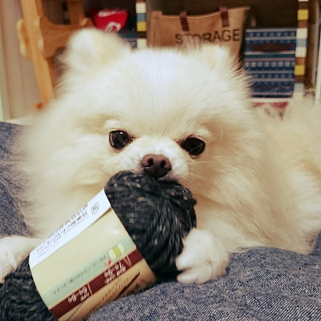 yukaさんの実例写真