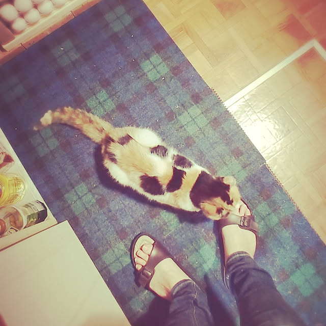 choku3さんの実例写真