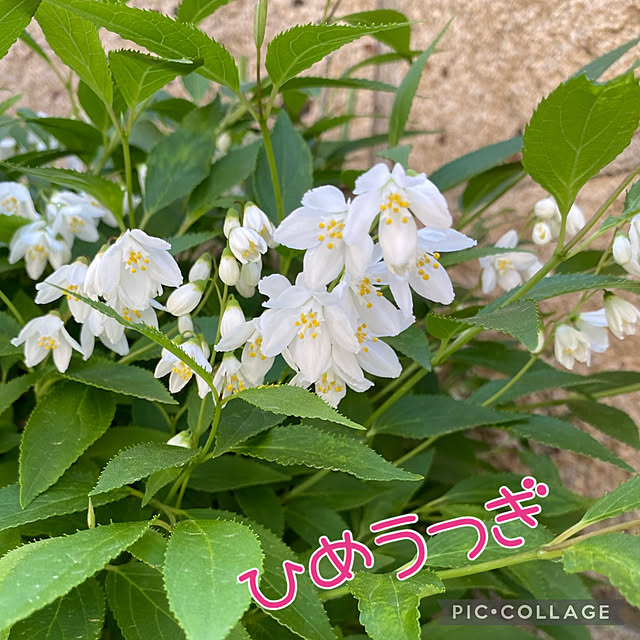Smilkazuさんの部屋