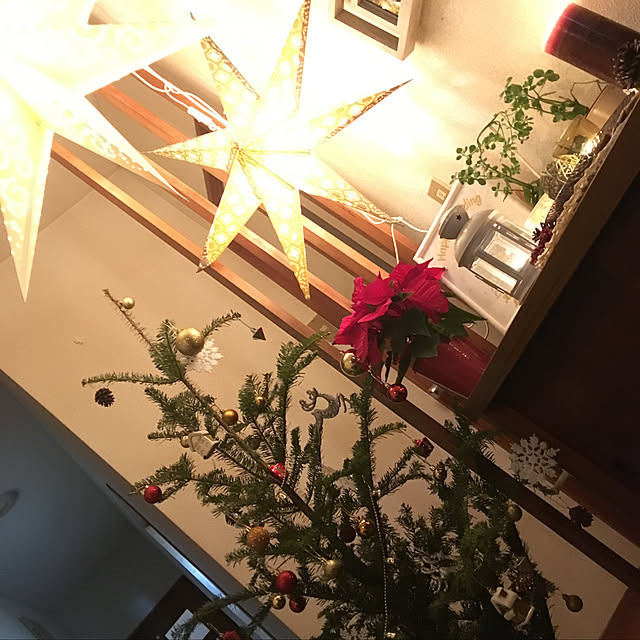 玄関/入り口/クリスマス/ダイソー/IKEA/100均...などのインテリア実例 - 2017-12-25 23:56:47