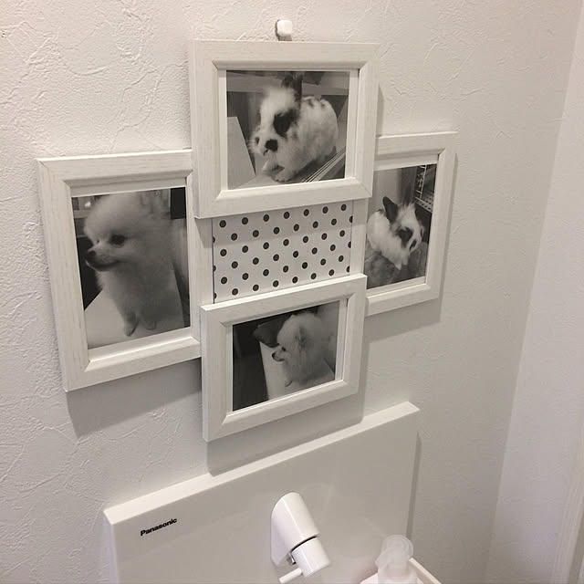 syomomo1008さんの実例写真
