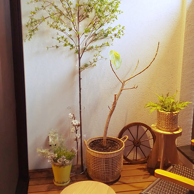 yukotanさんの実例写真