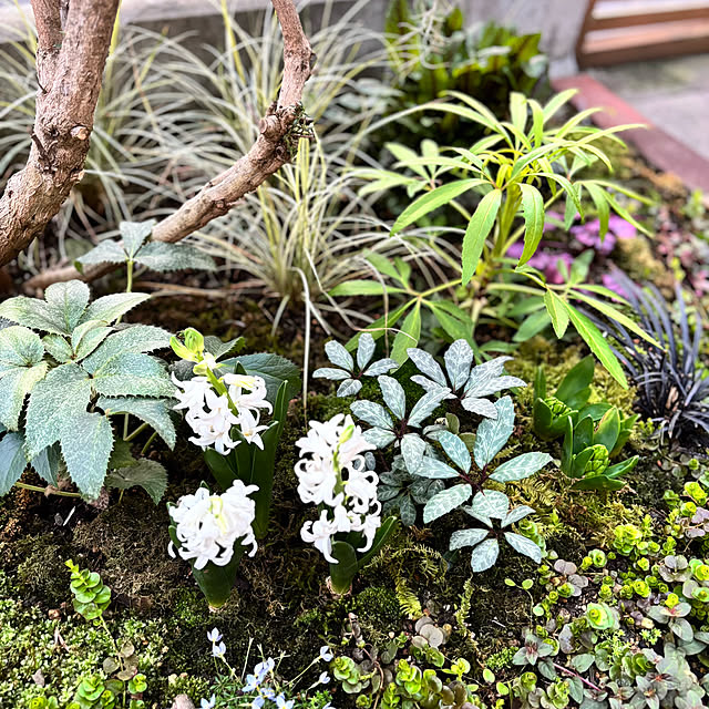 kyoko1124koさんの部屋