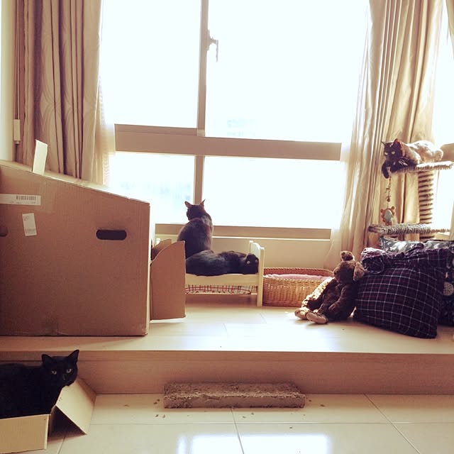 Chia-lingさんの実例写真