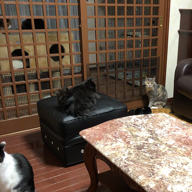 nya_sanさんの実例写真