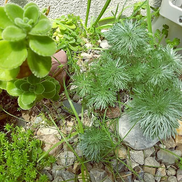 meiさんの部屋