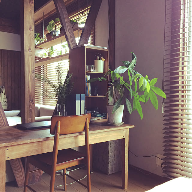 無印良品/ミックスインテリア/DIY/観葉植物/ニトリ...などのインテリア実例 - 2019-10-26 13:12:54