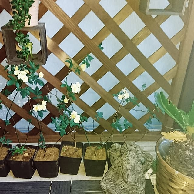 mariponさんの実例写真