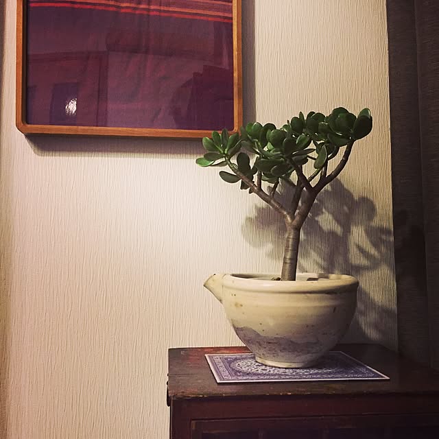 afroさんの実例写真