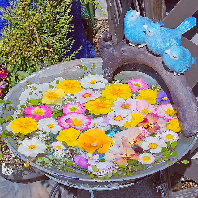 mocomocoさんの実例写真