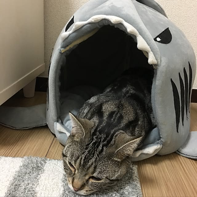 tomommyさんの実例写真