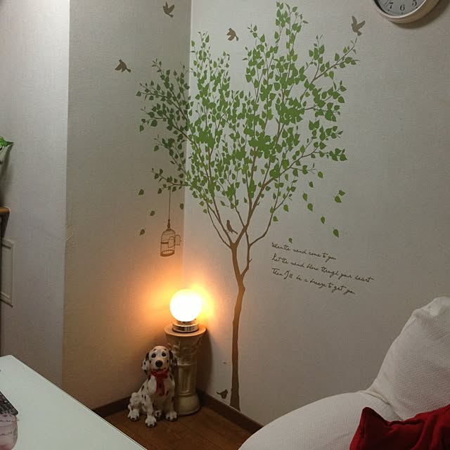 kiyomiさんの実例写真
