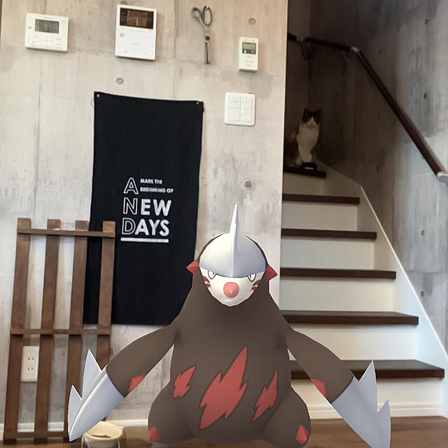 tamago24680さんの実例写真