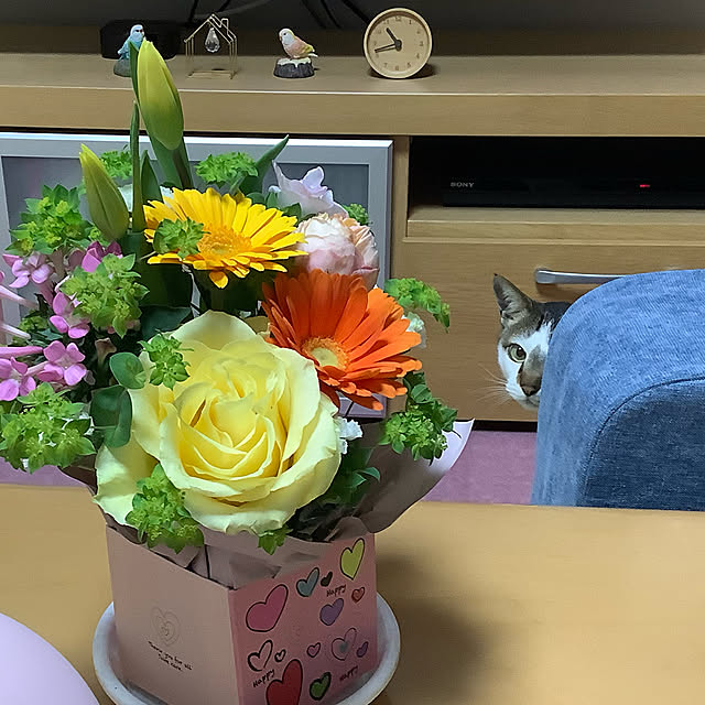 haruminさんの実例写真