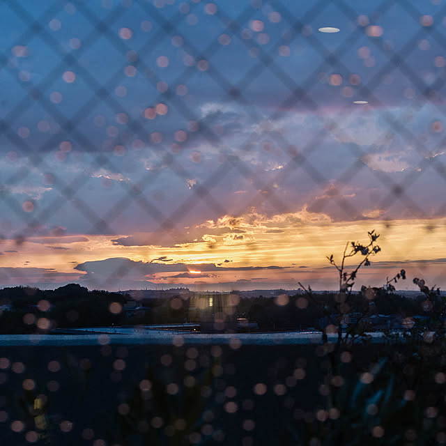 hinatabirdさんの部屋