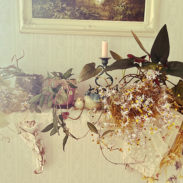 AYUKOさんの実例写真