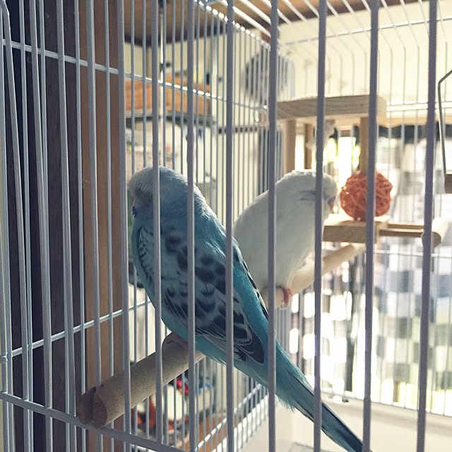 fruity anさんの実例写真