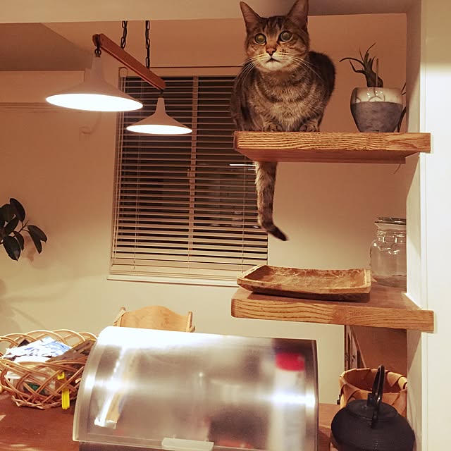 coroさんの実例写真
