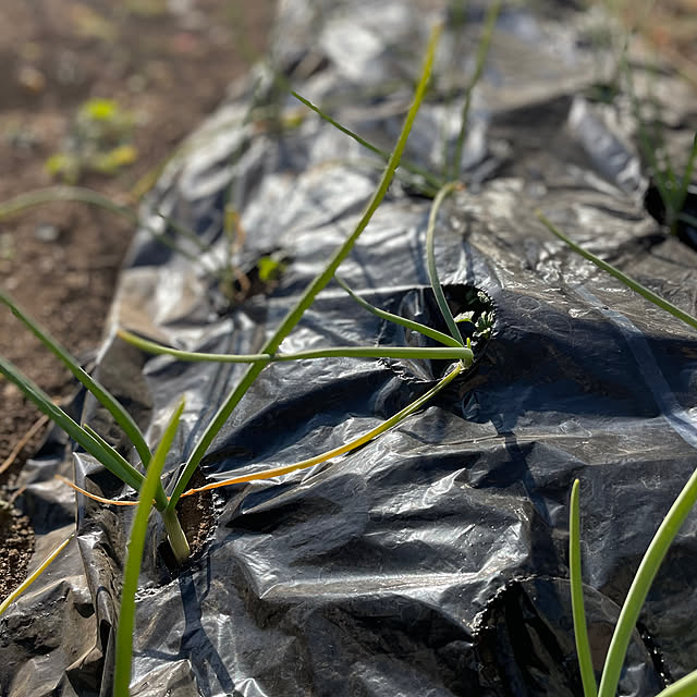 natsumiさんの部屋