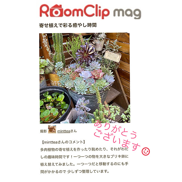 mintteaさんの実例写真