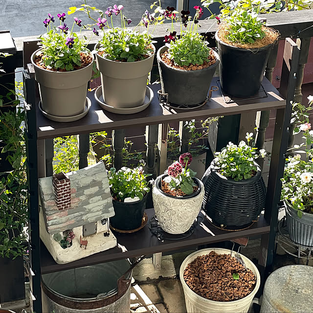 shiropenguinさんの実例写真