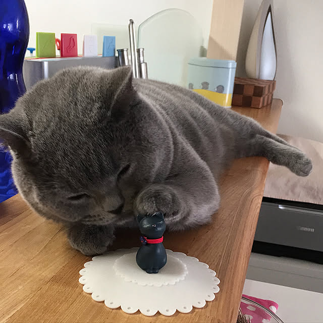 kittyさんの実例写真