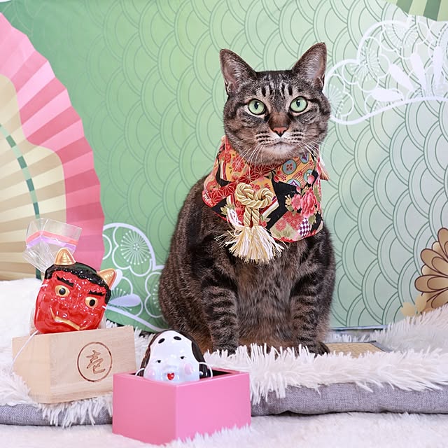 nyanta.koume.kannaさんの部屋