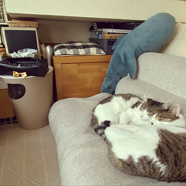 Lufuさんの実例写真