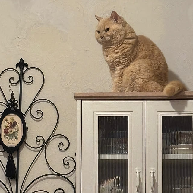 naokoさんの部屋