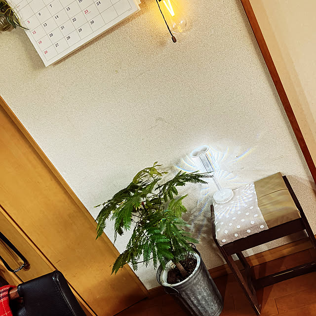 cagosukiさんの実例写真