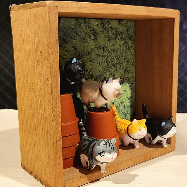 mikamaiさんの部屋