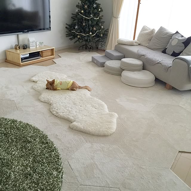 haruhinaさんの実例写真