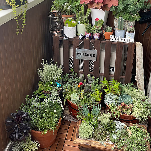 mamanさんの部屋