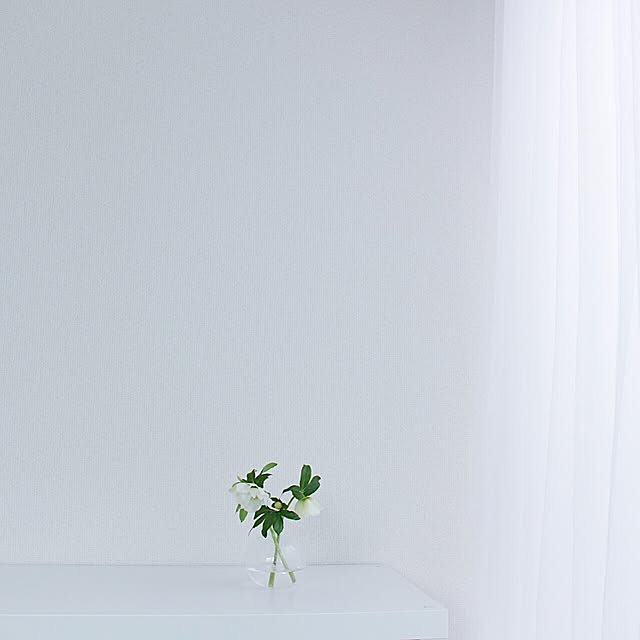 erixonさんの実例写真