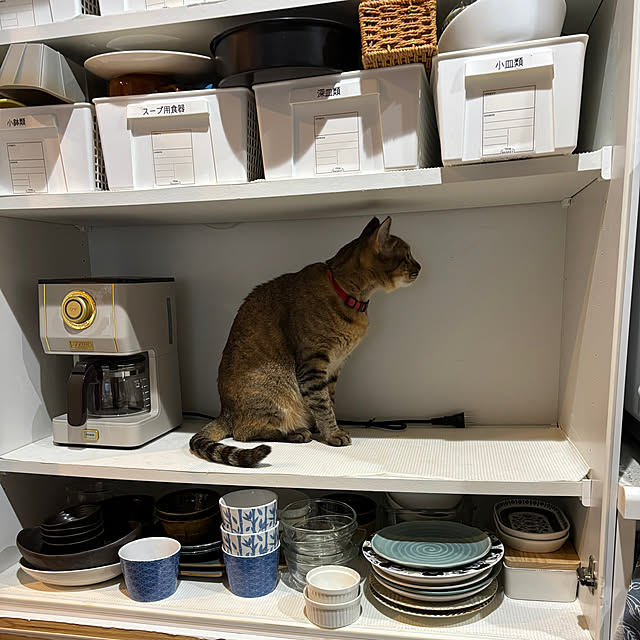 niko.mamさんの部屋