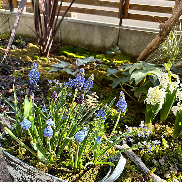 kyoko1124koさんの部屋