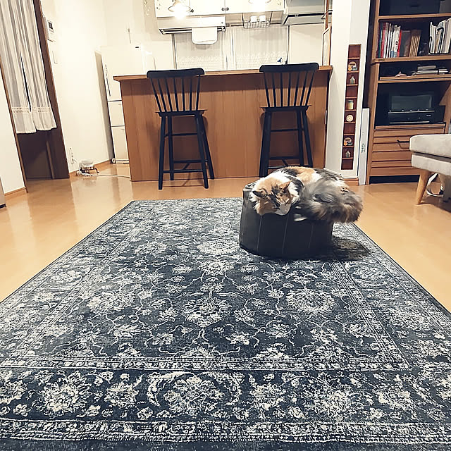 +CHIHARU+さんの実例写真