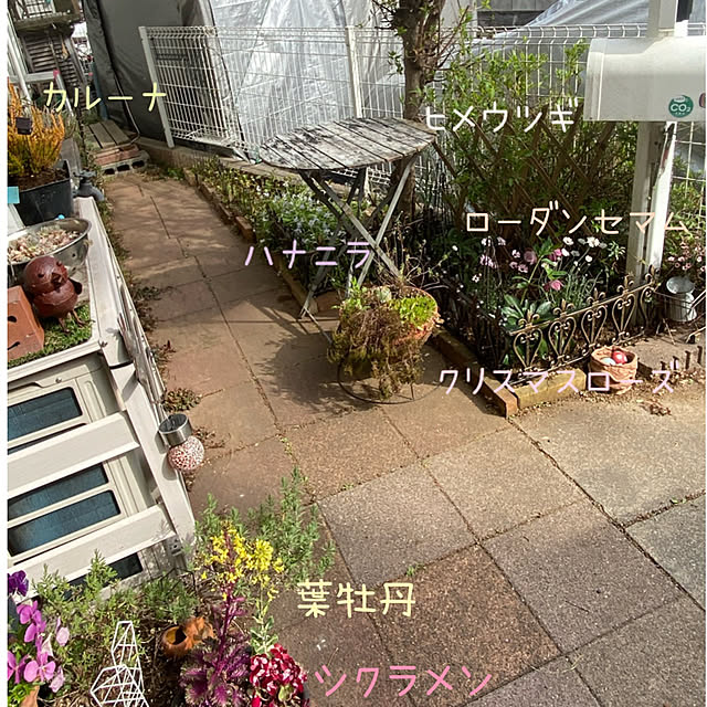 Lufuさんの実例写真