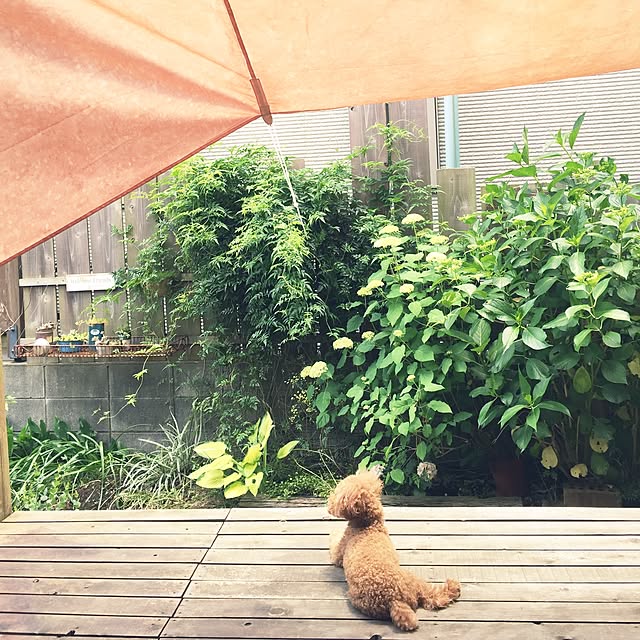 58さんの実例写真