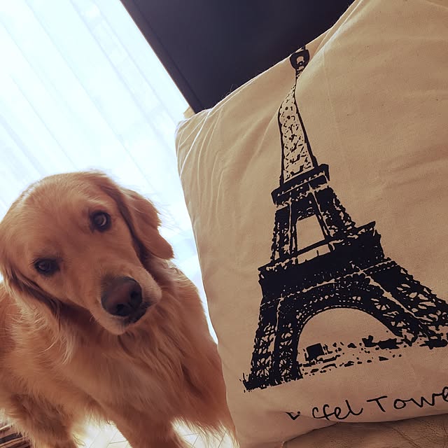 Rose0930さんの実例写真