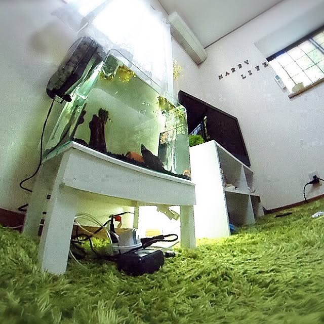L.さんの実例写真