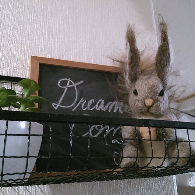 kotaさんの実例写真