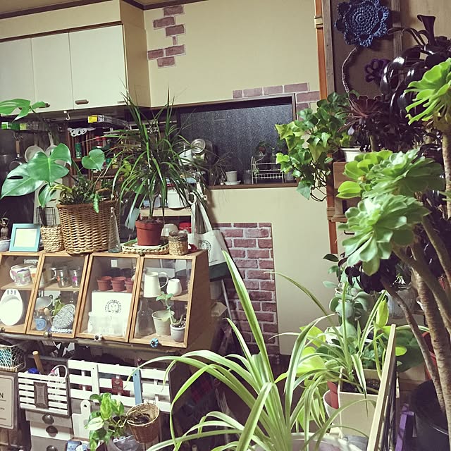 Norikoさんの実例写真