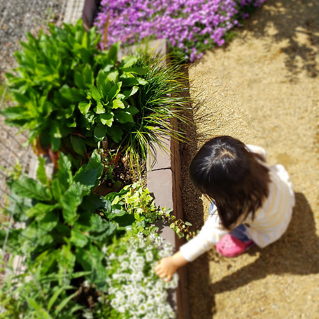 naoさんの実例写真