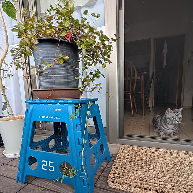 lovepeaceさんの部屋