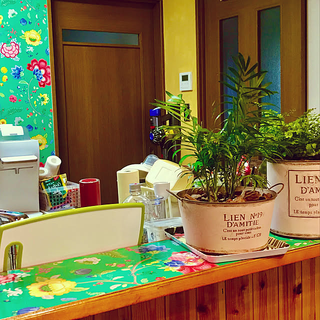 観葉植物/壁/天井のインテリア実例 - 2021-10-10 21:16:40